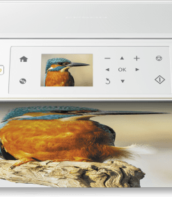 Epson Expression Premium XP-625
